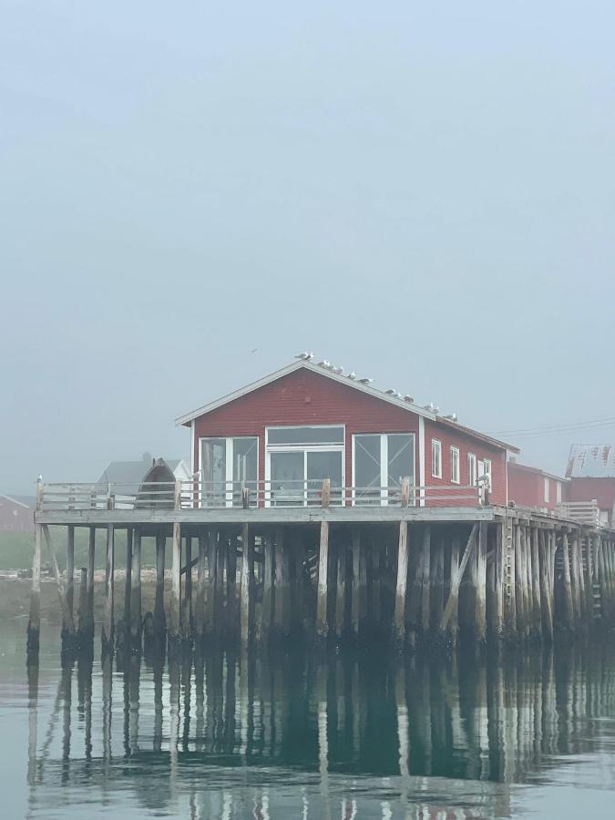 Ekkeroy Lodge - Arctic Living 벧소 외부 사진